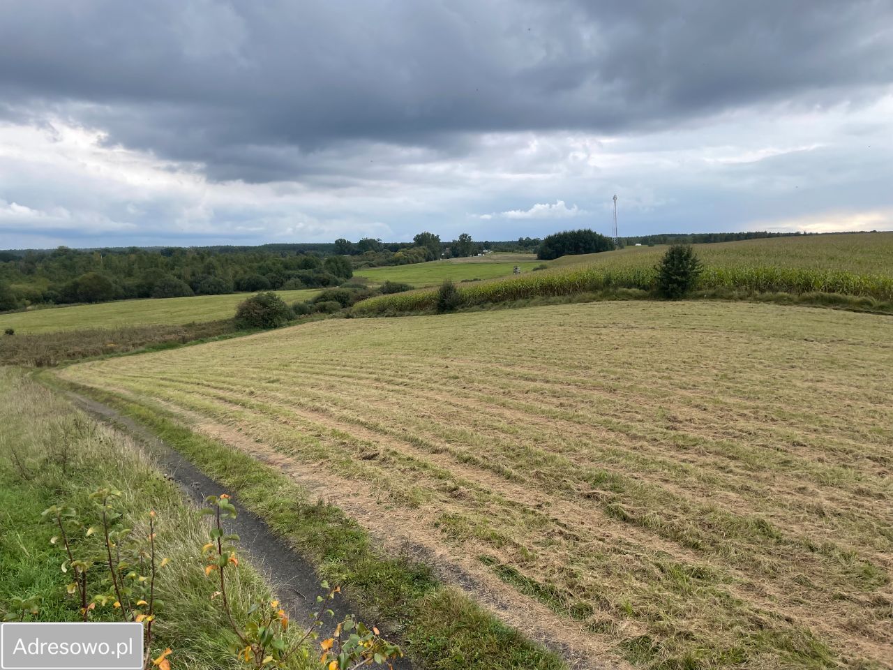 Działka rolno-budowlana Jęcznik. Zdjęcie 5