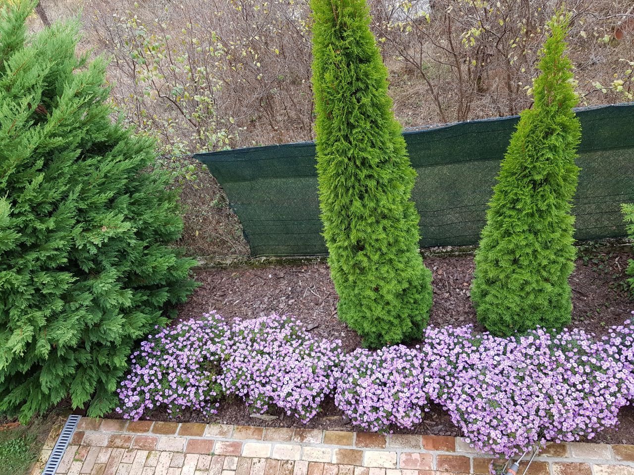 Działka budowlana Ściechów. Zdjęcie 3