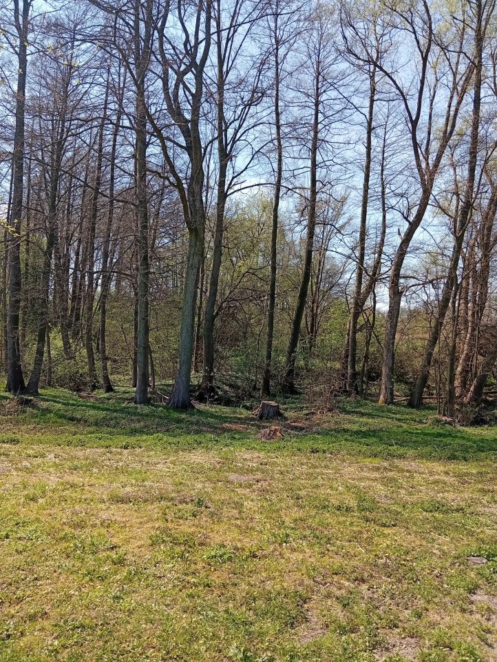 Działka rolno-budowlana Biejków. Zdjęcie 3