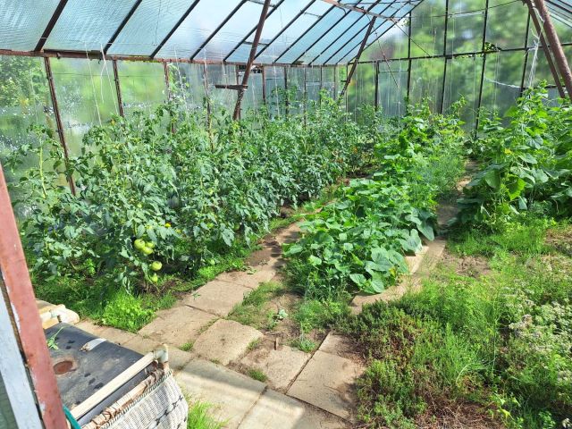 Działka rod Słupsk, ul. Gdańska. Zdjęcie 1