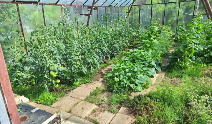 Działka rod Słupsk, ul. Gdańska