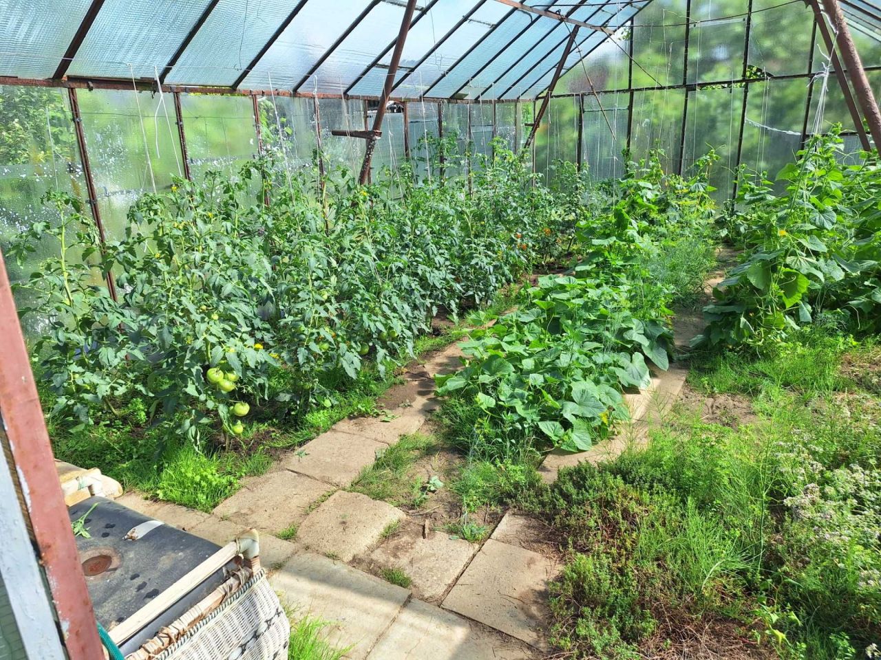 Działka rod Słupsk, ul. Gdańska. Zdjęcie 1