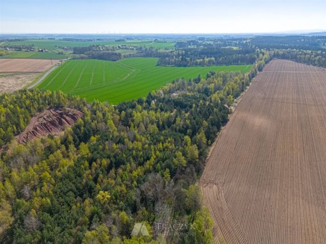 Działka inwestycyjna Bolesławiec. Zdjęcie 4