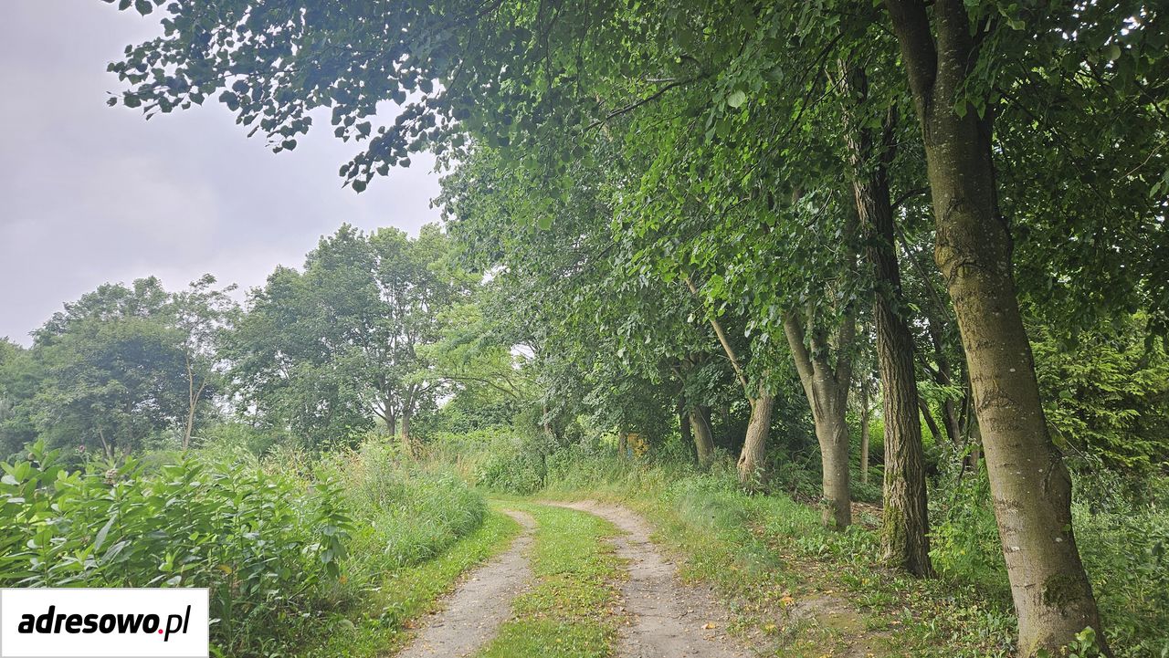 Działka rolna Runowo Krajeńskie. Zdjęcie 11