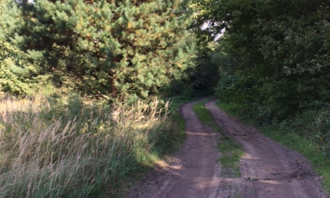 Działka rekreacyjna Ponikiew. Zdjęcie 9