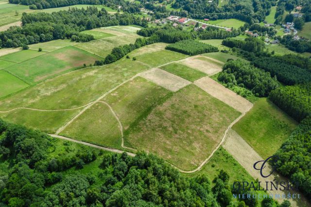 Działka inwestycyjna Straszydle. Zdjęcie 13