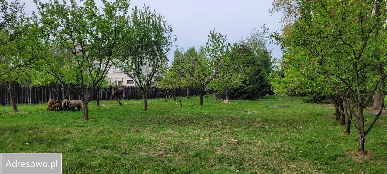 Działka rolno-budowlana Kłudno. Zdjęcie 2