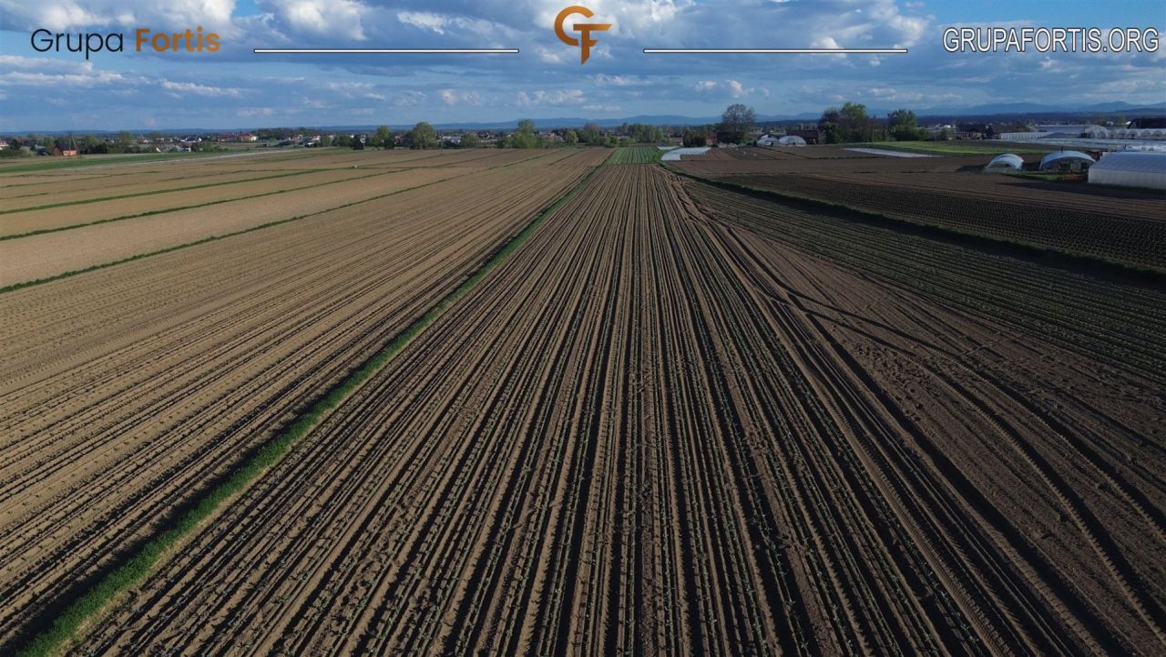 Działka rolna Tropiszów. Zdjęcie 8