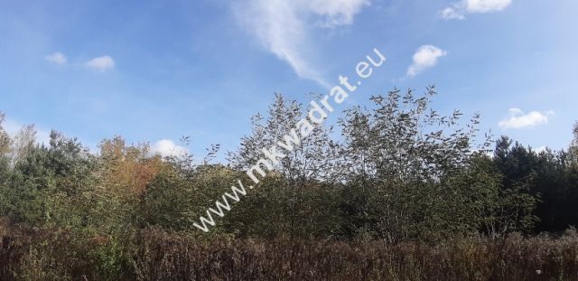 Działka budowlana Szczęsne. Zdjęcie 5