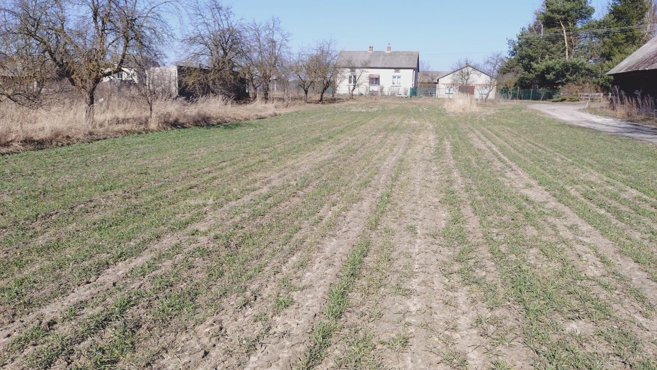 Działka budowlana Stara Jedlanka Jedlanka. Zdjęcie 8