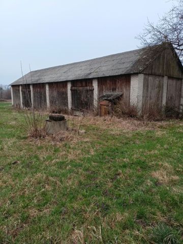 Działka siedliskowa Podkrasne. Zdjęcie 1