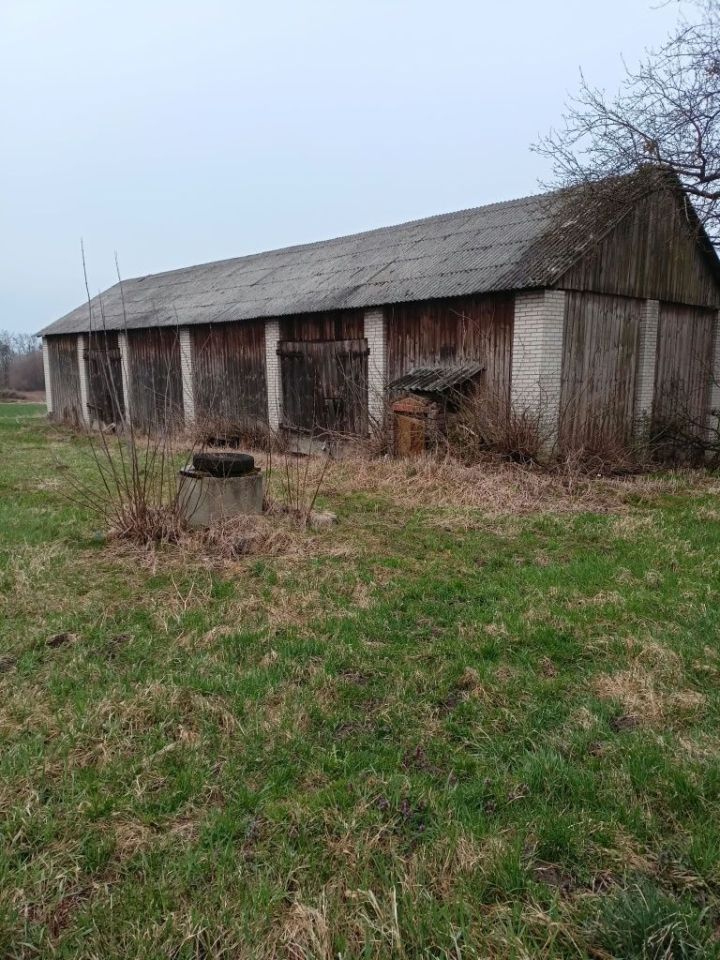 Działka siedliskowa Podkrasne. Zdjęcie 1
