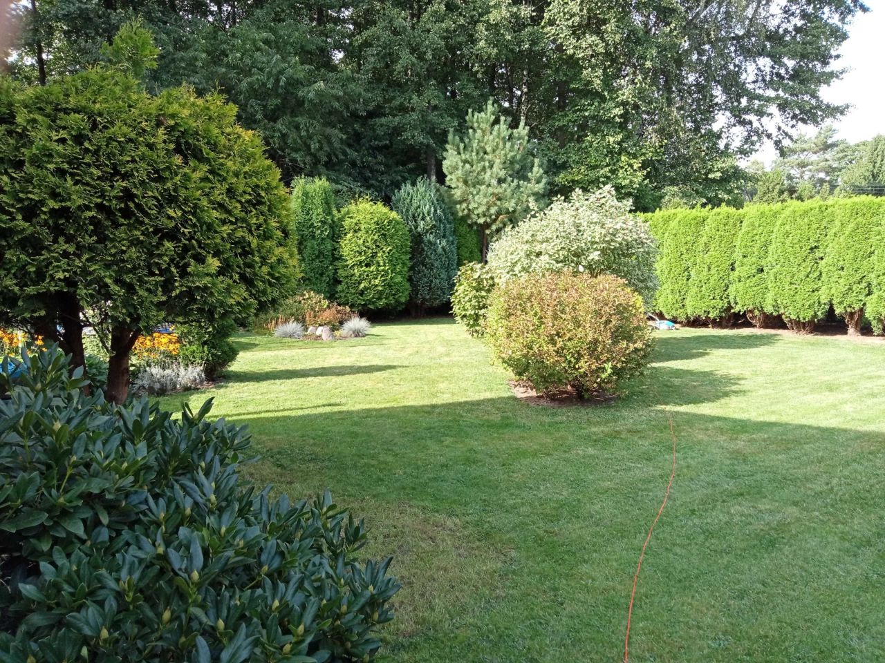 Działka rod Justynów. Zdjęcie 4