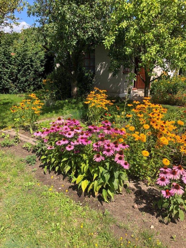 Działka rod Gdynia Oksywie. Zdjęcie 3