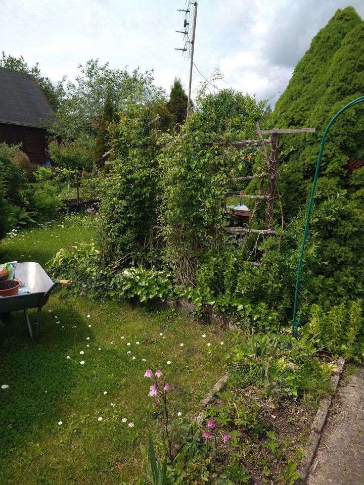 Działka rod Olsztyn. Zdjęcie 6