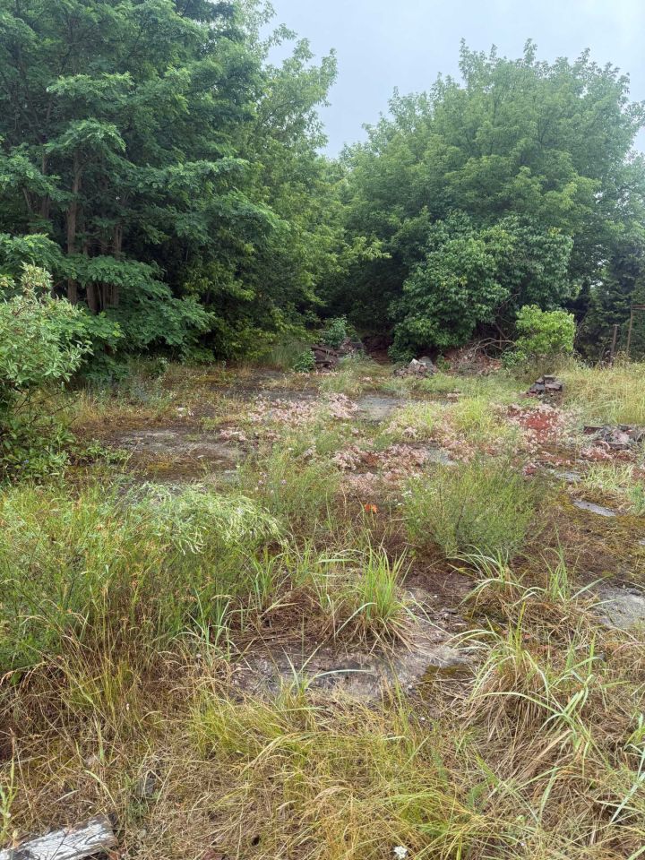 Działka rolna Toruń. Zdjęcie 3