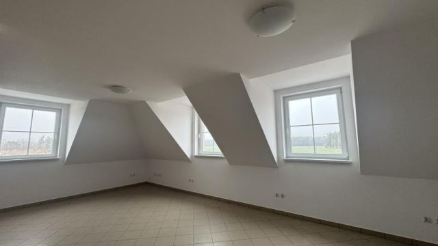 dom wolnostojący, 12 pokoi Brzeźnik. Zdjęcie 13