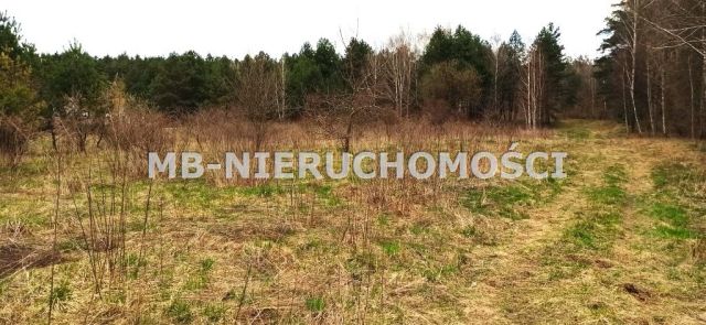 Działka rolno-budowlana Klebark Mały. Zdjęcie 1