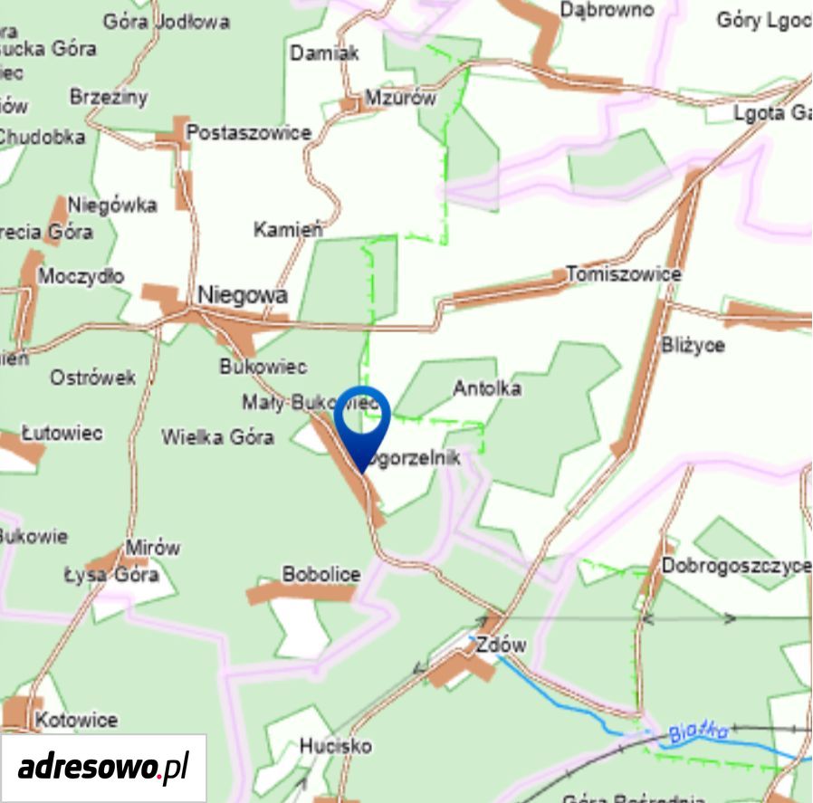 Działka rolno-budowlana Niegowa. Zdjęcie 1