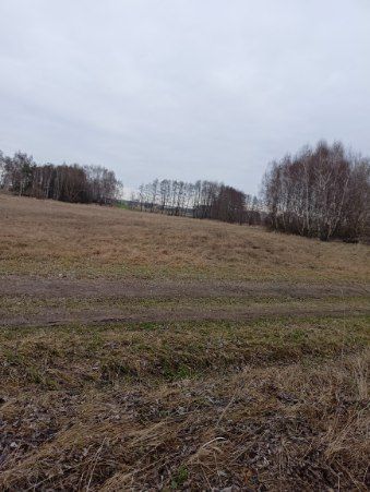 Działka rolna Górki Grabińskie. Zdjęcie 5