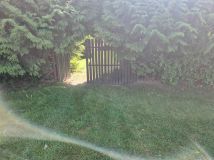 Działka Białe. Zdjęcie 1