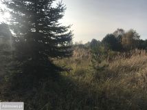 Działka budowlana Komorów. Zdjęcie 2