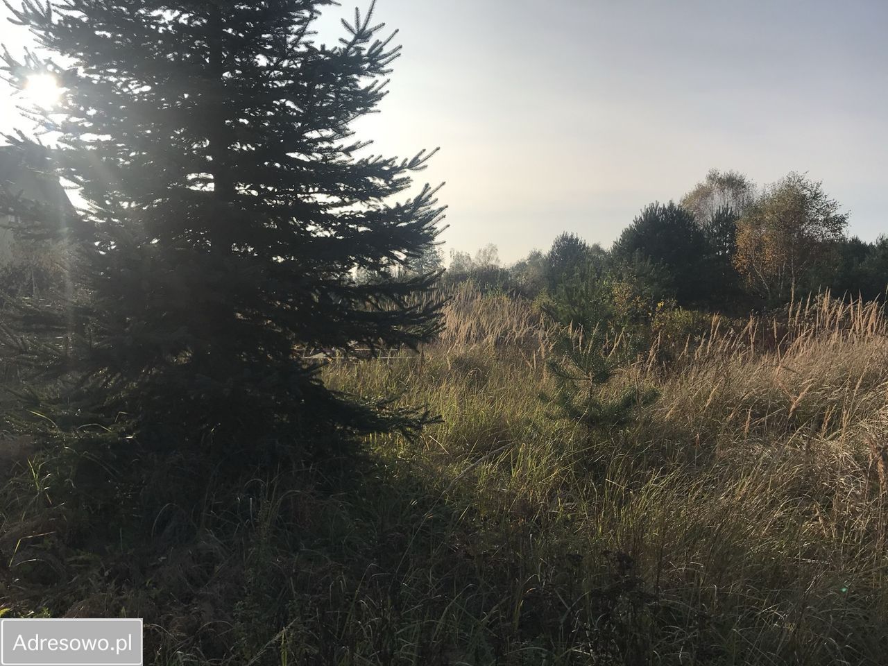 Działka budowlana Komorów. Zdjęcie 3