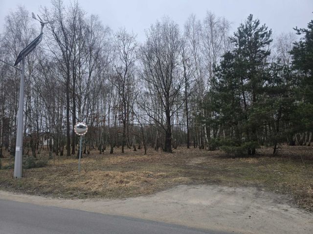 Działka leśna Młyniec Drugi. Zdjęcie 1