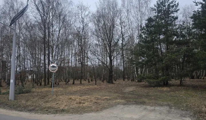 Działka leśna Młyniec Drugi