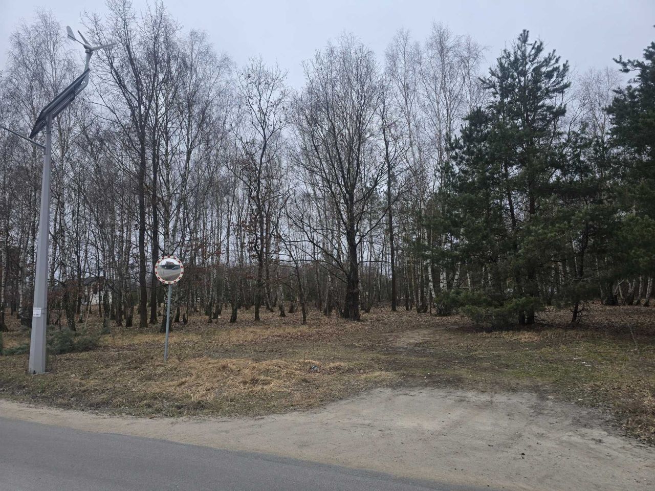 Działka leśna Młyniec Drugi. Zdjęcie 1