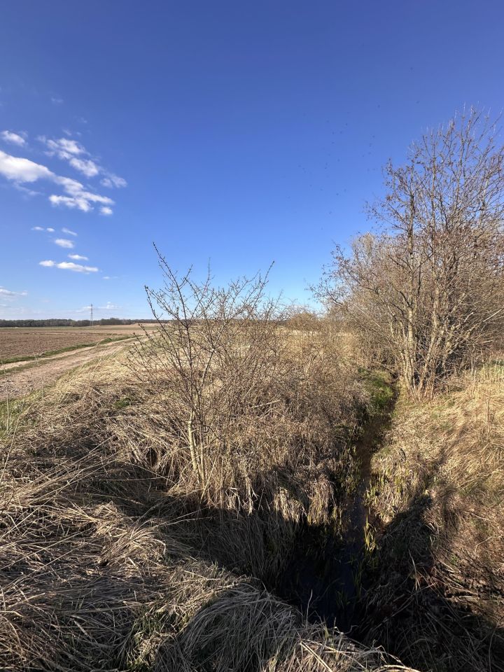 Działka rolna Chmielno. Zdjęcie 3