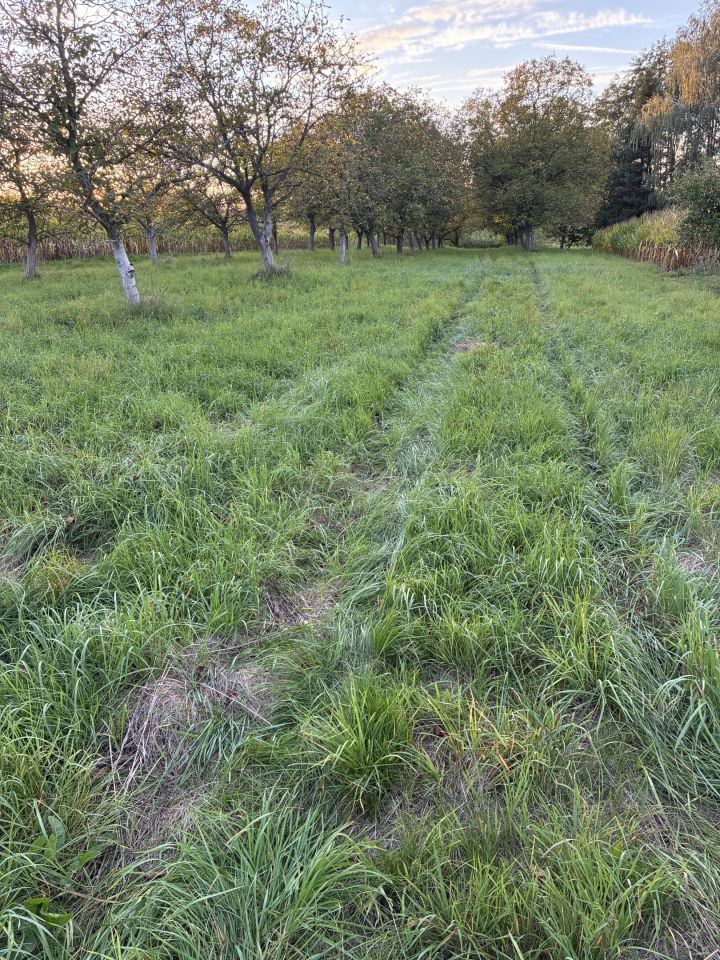 Działka rolno-budowlana Łańcut Grabskie, ul. Władysława Grabskiego. Zdjęcie 2