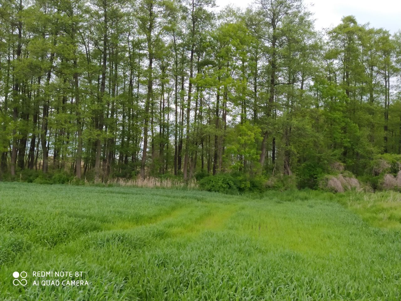 Działka budowlana Podrzewie, ul. Długa. Zdjęcie 11