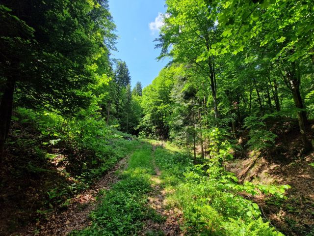 dom wolnostojący, 3 pokoje Wisła Tokarnia, os. Tokarnia. Zdjęcie 20