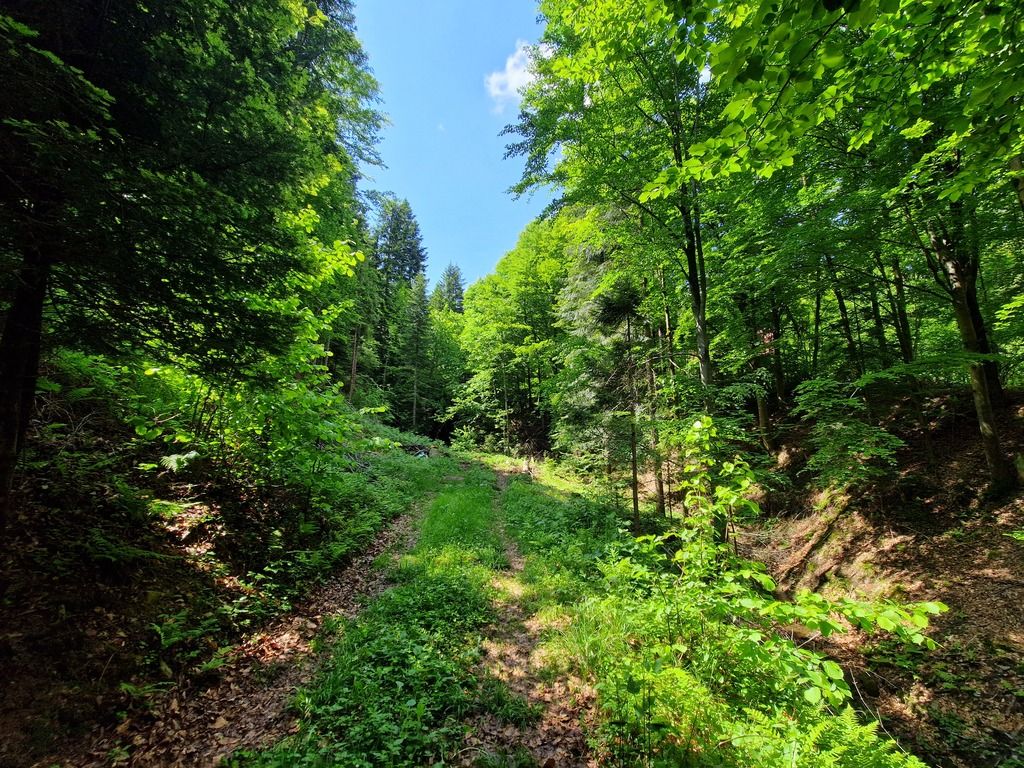 dom wolnostojący, 3 pokoje Wisła Tokarnia, os. Tokarnia. Zdjęcie 20