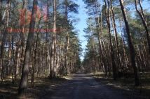 Działka budowlana Józefów. Zdjęcie 4