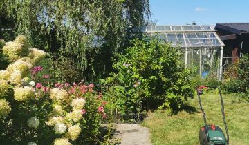 Działka rod Żyrardów Podlas, ul. Wypoczynkowa