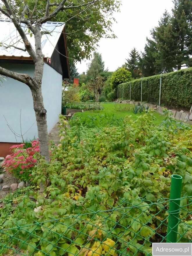 Działka rod Iława. Zdjęcie 3