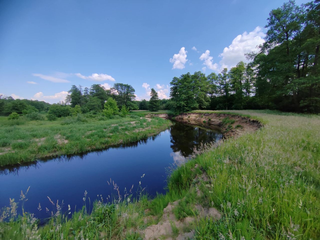 Działka inna Płaciszewo. Zdjęcie 2