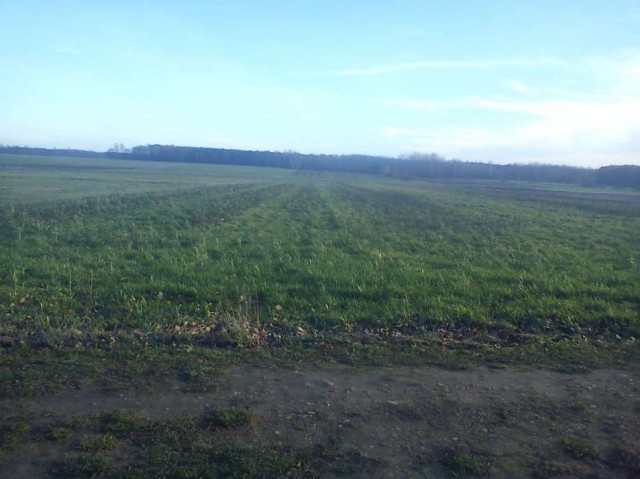 Działka rolno-budowlana Pludwiny. Zdjęcie 1