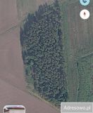Działka rolna Stara Kopernia. Zdjęcie 1