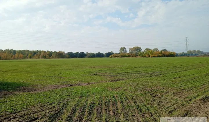 Działka inwestycyjna Kobylanka