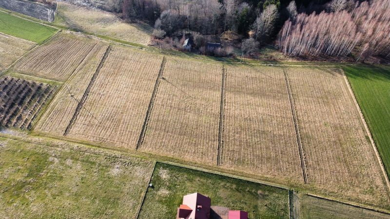 Działka budowlana Brzeziny Berdechów. Zdjęcie 3