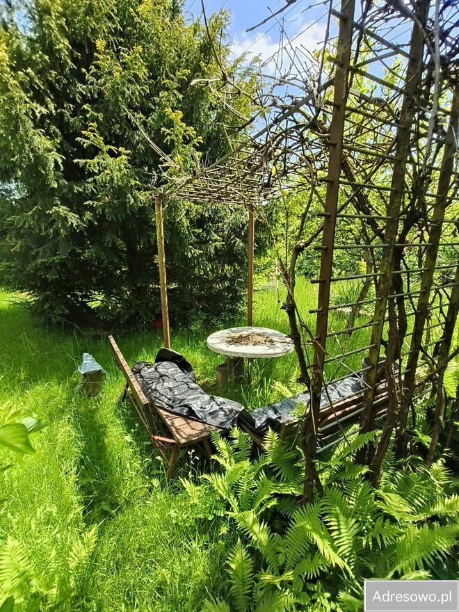 Działka rod Kielce Świętokrzyskie, ul. Wschodnia. Zdjęcie 5