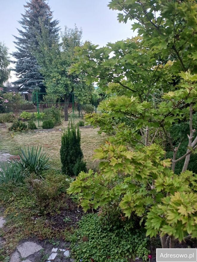 Działka rod Poznań. Zdjęcie 9