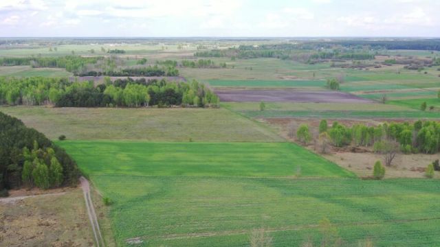 Działka rolno-budowlana Cieciory. Zdjęcie 5