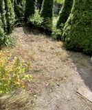 Działka rod Gliwice Śródmieście, ul. Kozielska. Zdjęcie 3