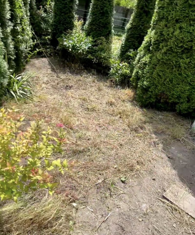 Działka rod Gliwice Śródmieście, ul. Kozielska. Zdjęcie 4