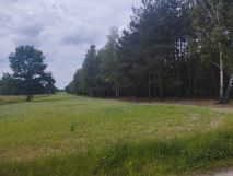 Działka budowlana Zaręby. Zdjęcie 4