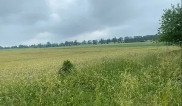 Działka na sprzedaż Kiełpino - Widok 5